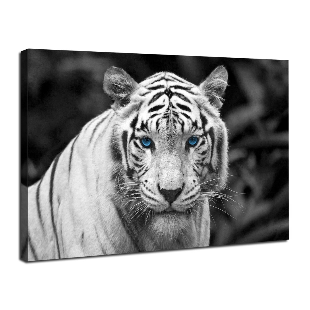 Tiger Canvas Wall Art Black and White Animals Prints Pictures White