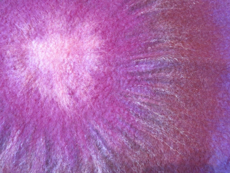 Puede incluir: Una vista en primer plano de una secci&oacute;n transversal de zanahoria morada que muestra un n&uacute;cleo magenta vibrante que se transforma en un centro rosa suave y claro. La textura es fibrosa y densa, con finas l&iacute;neas radiantes desde el centro al borde.