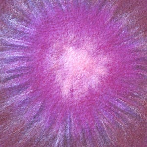 Puede incluir: Una superficie de lana fieltrada texturizada con un patr&oacute;n radial vibrante. El centro es de un rosa p&aacute;lido brillante que transiciona a tonos magenta intenso y morado oscuro, con fibras blancas finas que irradian hacia el exterior.