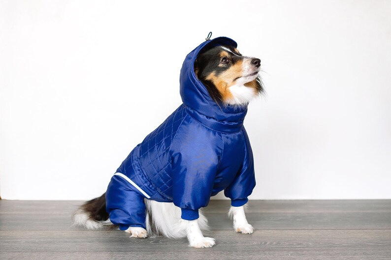 Dog Snowsuit. Winter Clothes for Dogs. Dog Full Body Suit. Etsy
