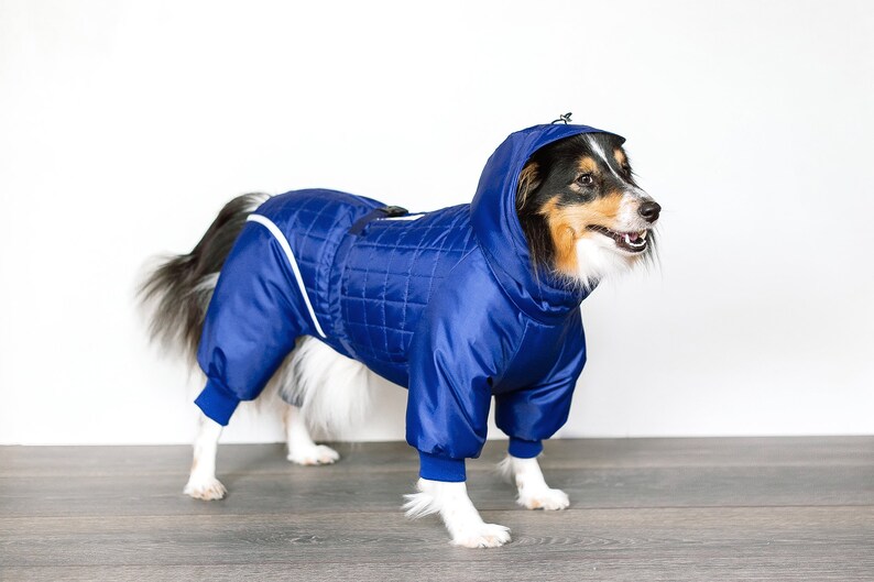 Dog Snowsuit. Winter Clothes for Dogs. Dog Full Body Suit. Etsy