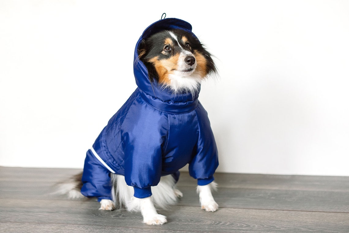 Dog Snowsuit. Winter Clothes for Dogs. Dog Full Body Suit. Etsy