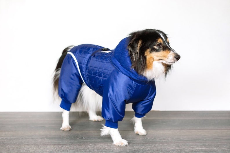 Одежда для собак минск. Одежда для йорков мальчиков. Одежда для собак минск. Одежда для собак минск. Зимняя одежда для собак.