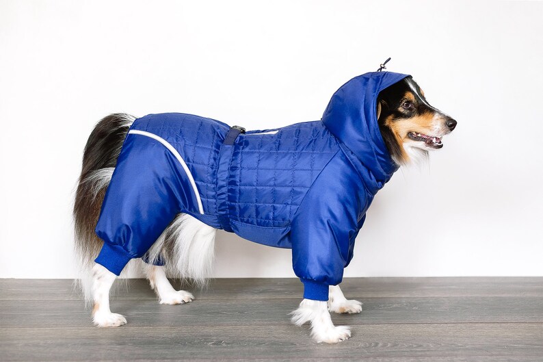 Dog Snowsuit. Winter Clothes for Dogs. Dog Full Body Suit. Etsy