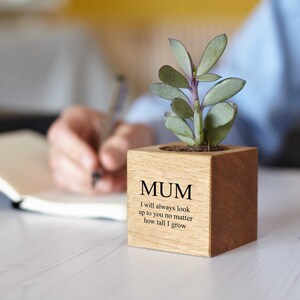 Personalised Solid Oak Micro Plant Pot / Birthday Gift / Gift for Dad / Personalized Pot Plant Holder / Gifts for Gardeners image 8