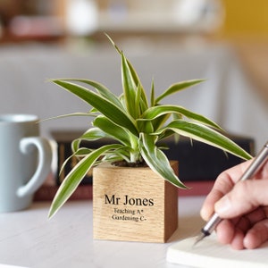 Personalised Solid Oak Micro Plant Pot / Birthday Gift / Gift for Dad / Personalized Pot Plant Holder / Gifts for Gardeners image 5