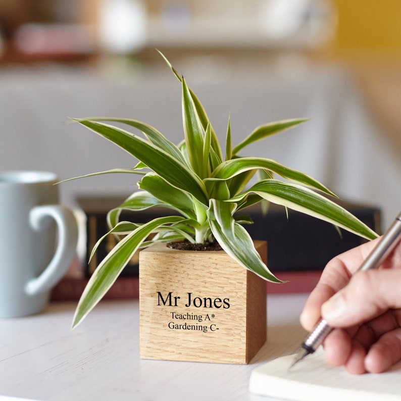 Personalised Solid Oak Micro Plant Pot / Birthday Gift / Gift for Dad / Personalized Pot Plant Holder / Gifts for Gardeners image 5