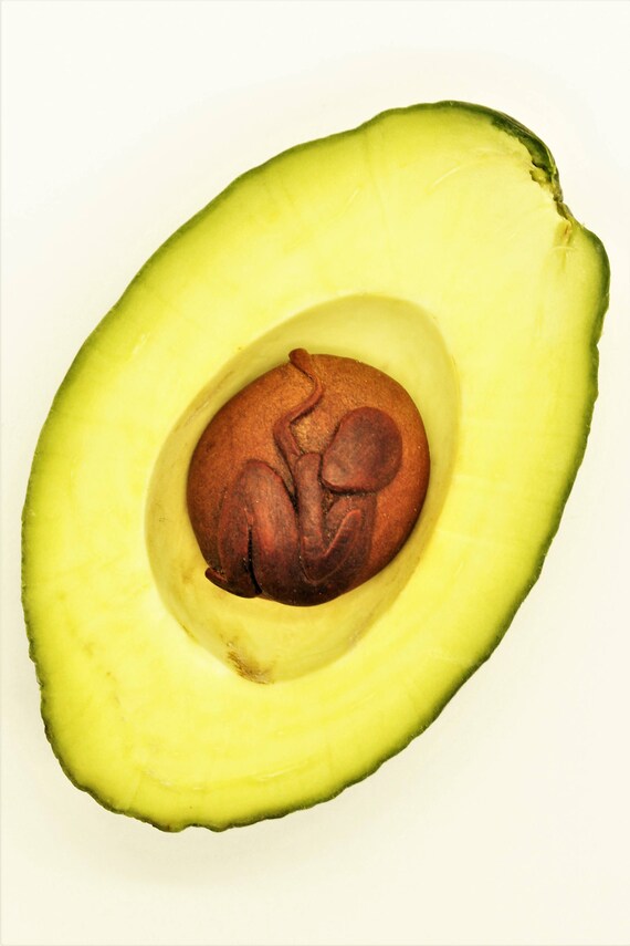 porno-avocado-stones-vagina