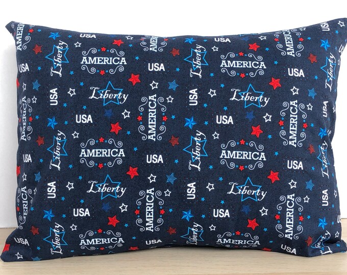 America/Liberty/USA/4th of July/ Pillowcover/Childhood Cancer Donation with each purchase!
