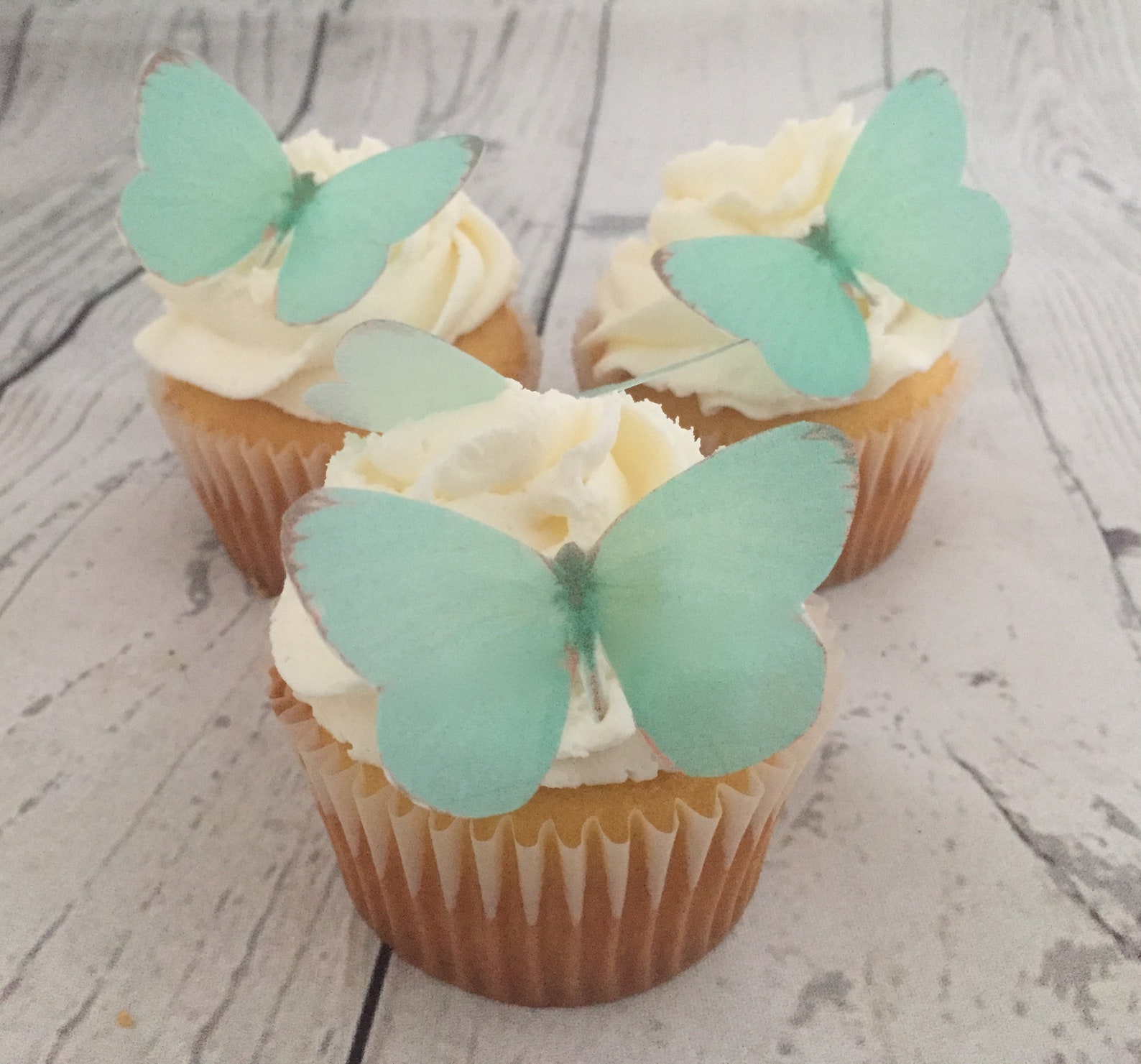 Mint Edible Butterflies Etsy