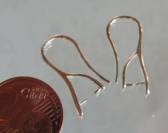 Silver ear hooks with stone clip