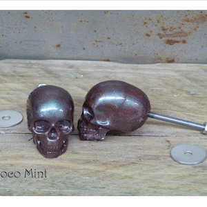 Peut inclure: Deux boutons de cabinet en forme de crâne brun foncé avec un éclat métallique. Les boutons sont fixés à des vis et des rondelles argentées.