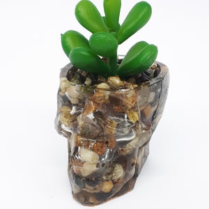 Pode incluir: Um vaso de caveira de resina transparente cheio de pedras pequenas e coroado com uma planta suculenta verde.