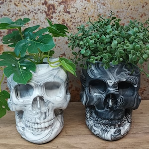 May include: Two decorative skull planters, one white with black marbling and one black with white marbling. Both planters are filled with green plants.