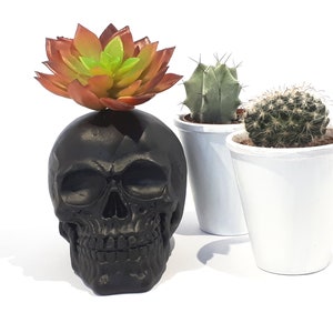 Skull Plant, Succulent skull plant, Artificial Succulent,