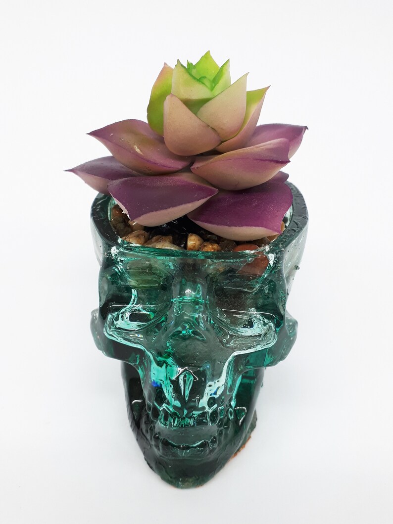 Pode incluir: Um vaso de caveira de vidro verde com uma planta suculenta roxa e verde dentro.