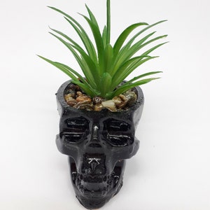 Pode incluir: Um vaso preto em forma de caveira com uma planta suculenta verde crescendo dentro. O vaso est&aacute; cheio de pequenas pedras marrons e brancas.