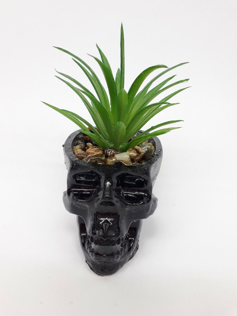 Pode incluir: Um vaso preto em forma de caveira com uma planta suculenta verde crescendo dentro. O vaso est&aacute; cheio de pequenas pedras marrons e brancas.