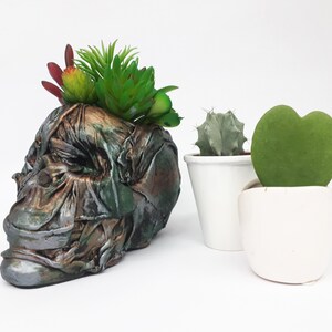 May include: A green, brown, and silver skull-shaped planter with a variety of succulents growing inside. The planter is sitting on a white surface next to two white pots with green succulents.