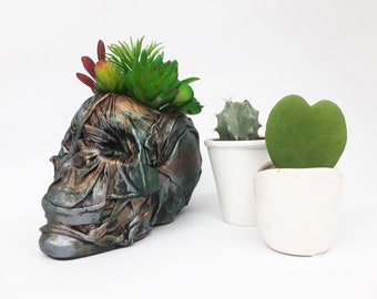 Large Skull pot complete with faux succulents