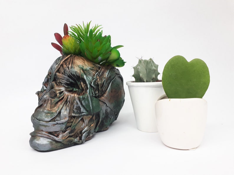 Large Skull pot complete with faux succulents