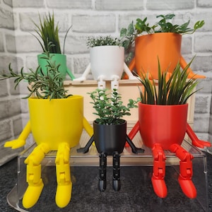 May include: A collection of colorful, anthropomorphic planters. The planters are in various colors, including green, yellow, white, orange, red, and black. Each planter has arms and legs, and is filled with greenery.