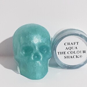 May include: A small jar of turquoise blue craft paint with a skull-shaped container next to it. The jar has a white label that reads "CRAFT AQUA THE COLOUR SHACK®".