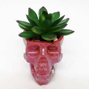 Pode incluir: Um vaso vermelho em forma de caveira com uma planta suculenta verde crescendo dentro.