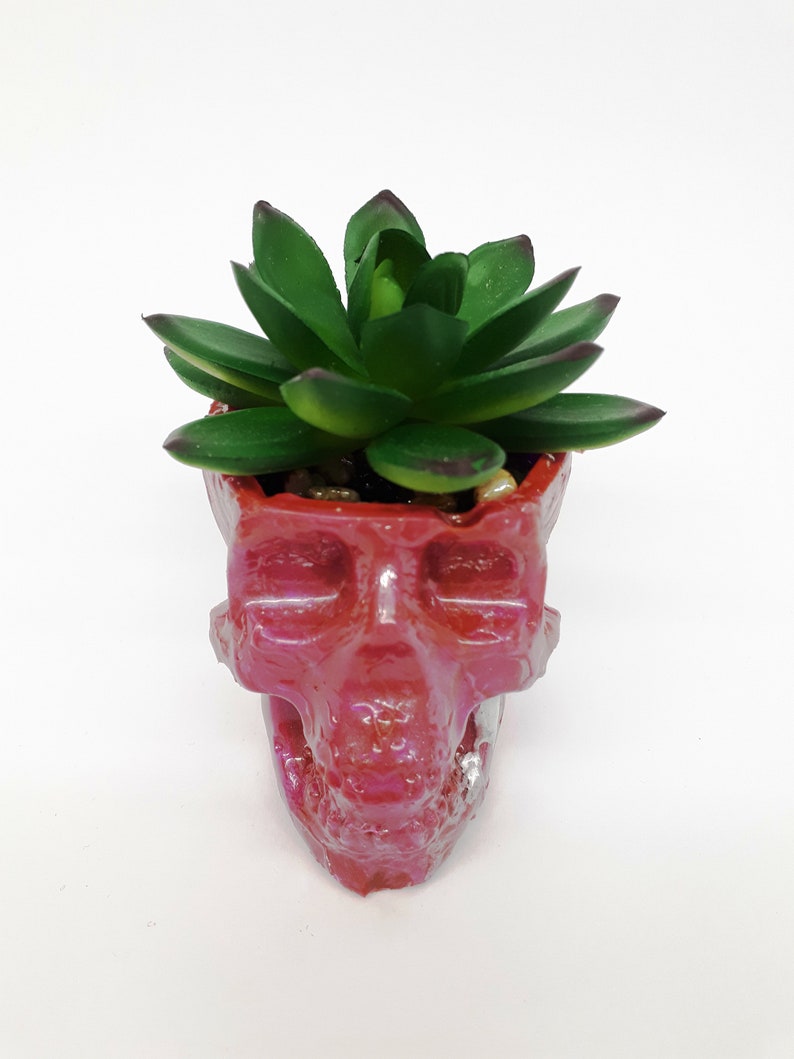 Pode incluir: Um vaso vermelho em forma de caveira com uma planta suculenta verde crescendo dentro.