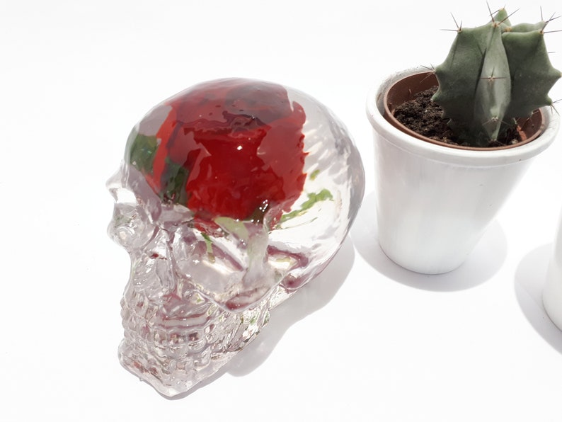 Skull & Rose Resin Skull with Artificial Red Rose embedded Etsy