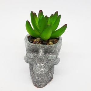 Pode incluir: Uma pequena planta suculenta verde em um vaso de caveira prateado com glitter.
