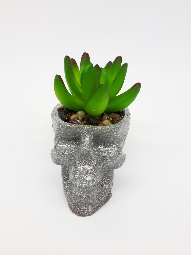Pode incluir: Uma pequena planta suculenta verde em um vaso de caveira prateado com glitter.