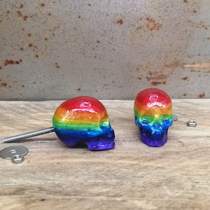 May include: Two rainbow skull drawer pulls with a silver screw and washer. The skulls are painted with a rainbow gradient from red to purple.