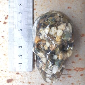 May include: A clear resin skull filled with small rocks and pebbles in shades of brown, white, and green. The skull is approximately 7 cm tall.