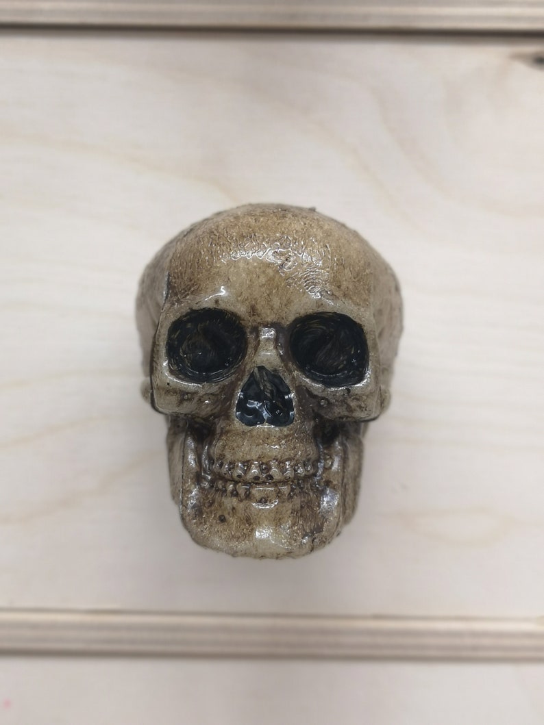 May include: A detailed, realistic-looking, beige skull with black eye sockets. The skull is made of resin and has a smooth, slightly glossy finish.