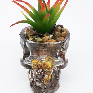 Pode incluir: Um vaso de caveira de vidro transparente com uma planta suculenta dentro. A caveira &eacute; decorada com engrenagens douradas e de cobre e outros enfeites.