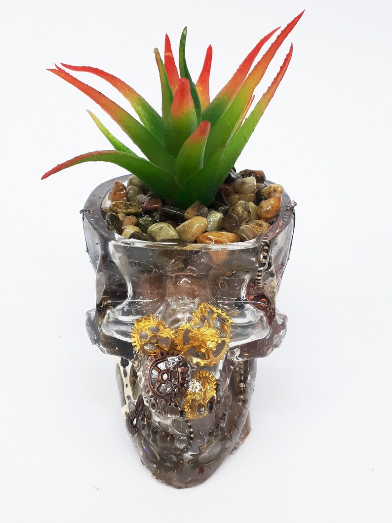 Pode incluir: Um vaso de caveira de vidro transparente com uma planta suculenta dentro. A caveira &eacute; decorada com engrenagens douradas e de cobre e outros enfeites.