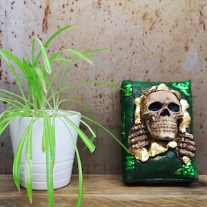 May include: A green book with a skull peeking out from the pages. The skull is made of a light brown material and has gold accents. The book is sitting on a wooden surface next to a green plant in a white pot.