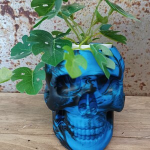 May include: A blue and black skull-shaped planter with a green plant growing out of the top.