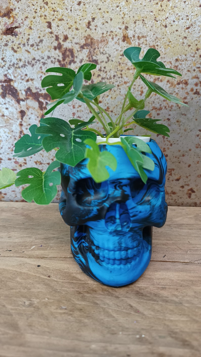 May include: A blue and black skull-shaped planter with a green plant growing out of the top.