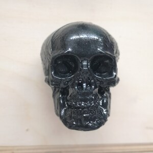 May include: A black skull-shaped door knob with a detailed design. The skull has a glossy finish.