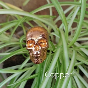 May include: A copper-colored skull figurine with yellow eyes, sitting on a bed of green spider plant leaves. The word "Copper" is written in white text below the skull.