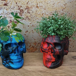 Peut inclure: Deux pots en forme de crâne, l'un bleu et l'autre rouge, avec des marbrures noires. Le pot bleu contient une plante verte aux grandes feuilles, tandis que le pot rouge contient un buisson vert.