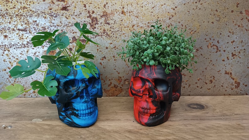 May include: Two skull-shaped planters, one blue and one red, with black marbling. The blue planter has a green plant with large leaves, while the red planter has a green bush.