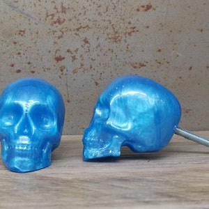 May include: Two blue skull shaped cabinet knobs with a silver screw. The skull knobs have a shiny, iridescent finish.