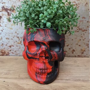 May include: A black and red skull-shaped planter with a green plant growing out of the top.