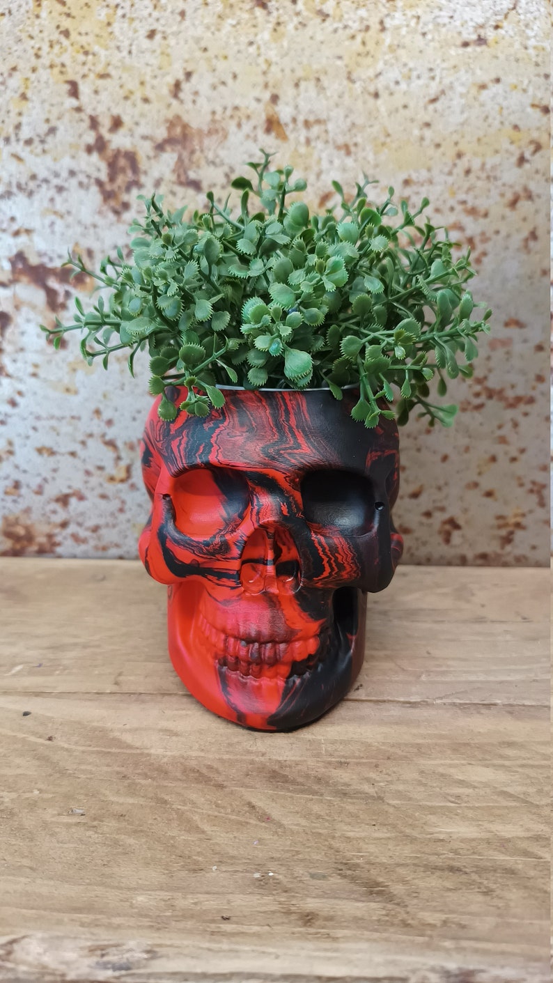 May include: A black and red skull-shaped planter with a green plant growing out of the top.