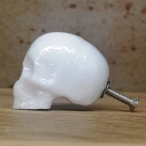 May include: White ceramic skull door knob with a silver screw.