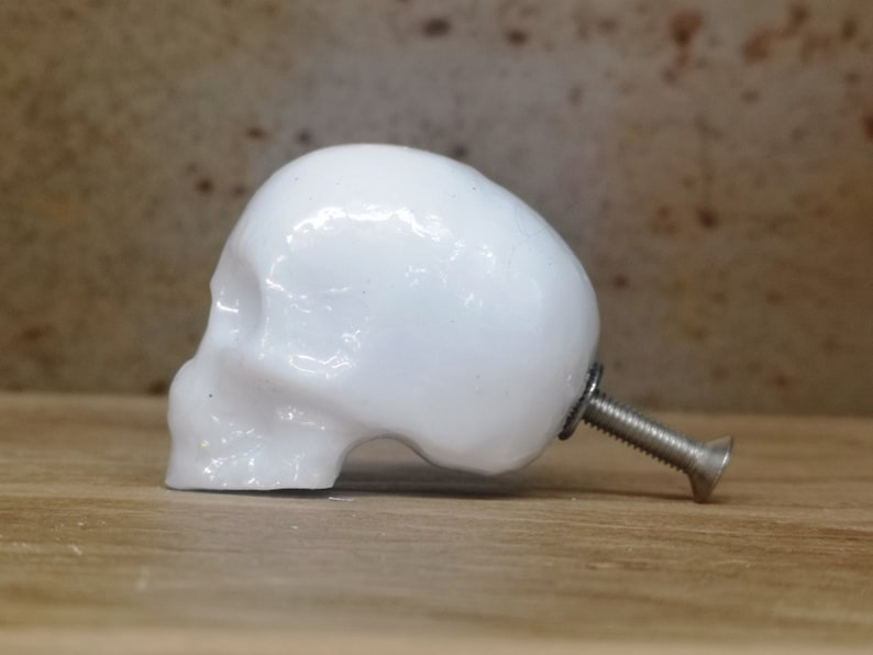May include: White ceramic skull door knob with a silver screw.