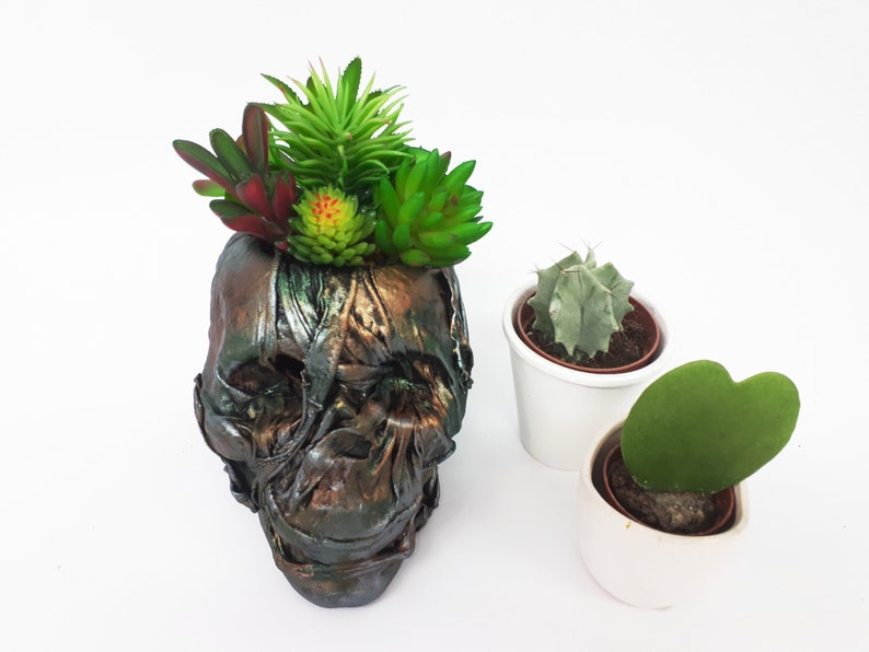 Large Skull pot complete with faux succulents